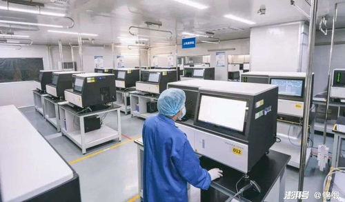 破局生命科學前沿 中國如何以機電科技之翼驅動精尖設備自主創新